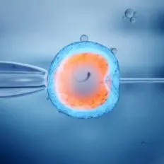 IVF Treatment