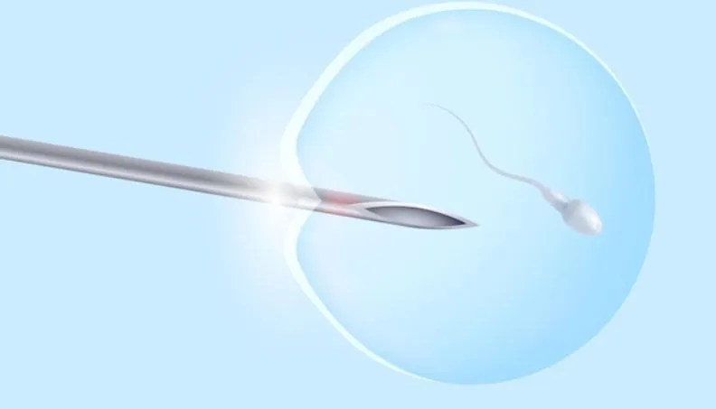 First Signs of IUI Success