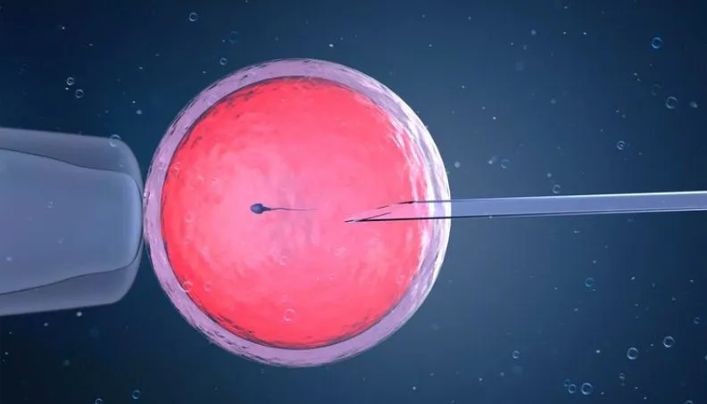 How successful is IUI on first try