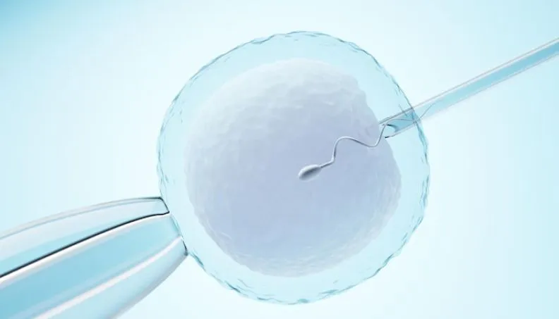 avarage cost of IUI treatment in delhi