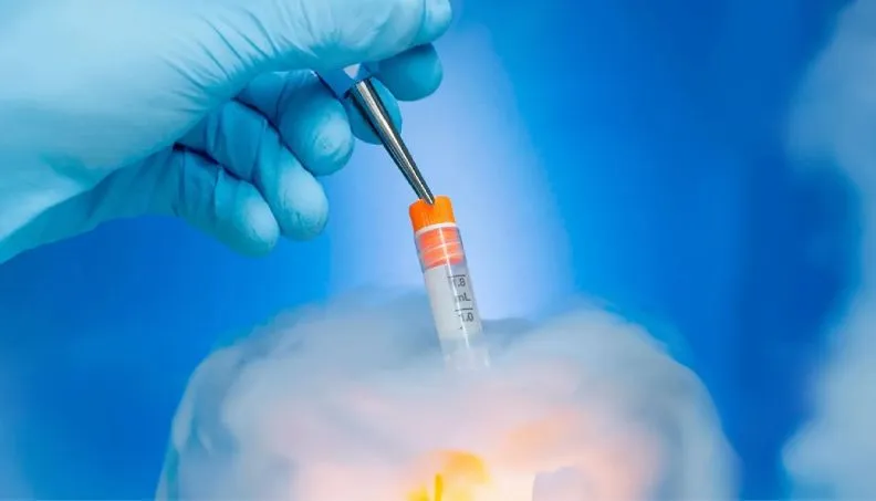 Egg Freezing Treatment Cycle