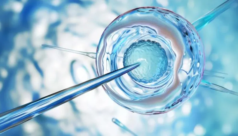 Egg freezing success rates by age