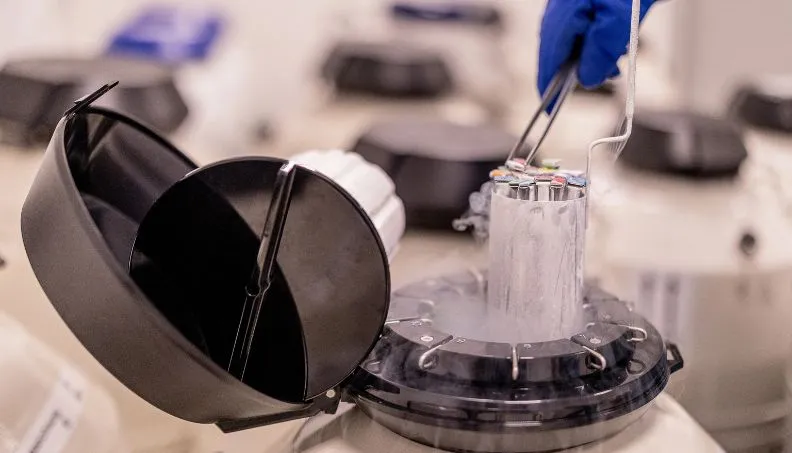 How long can eggs remain frozen and how many eggs should I freeze