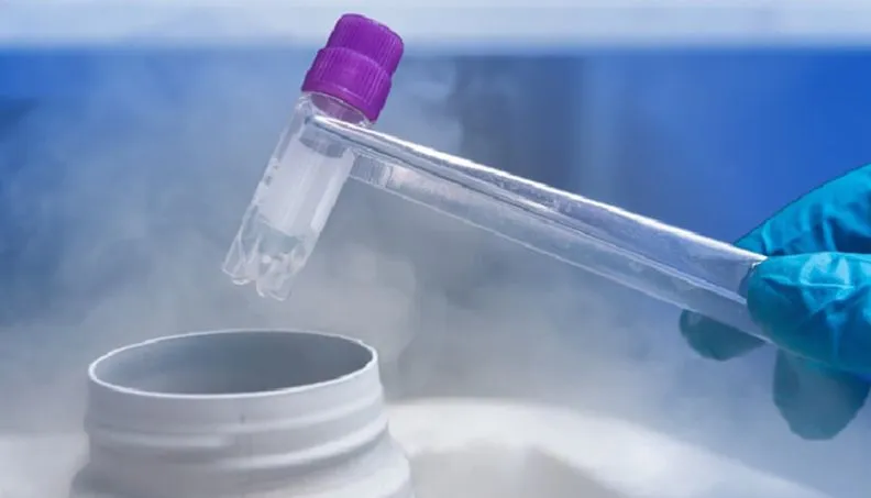 What is the Best and Safest Egg Freezing Method in IVF Treatment