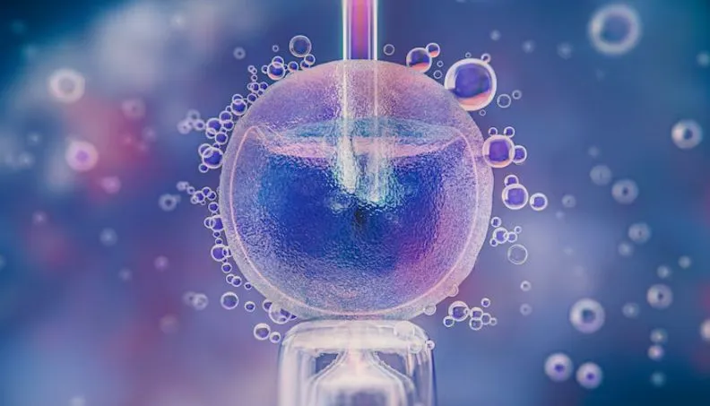 Frozen Embryos After IVF Storage, Costs and Your Options