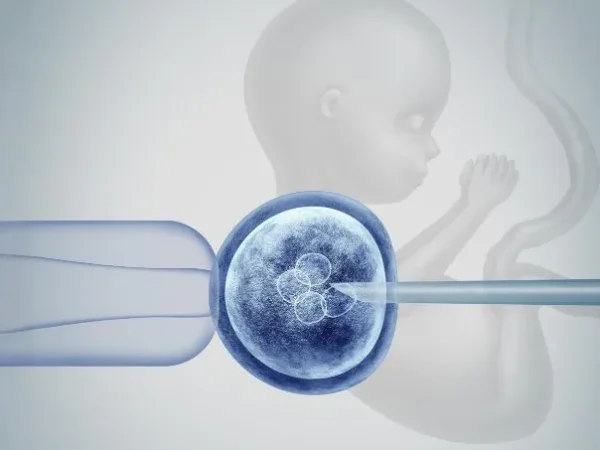 Donor Egg IVF: The Questions Every Patient Has But Is Afraid to Ask