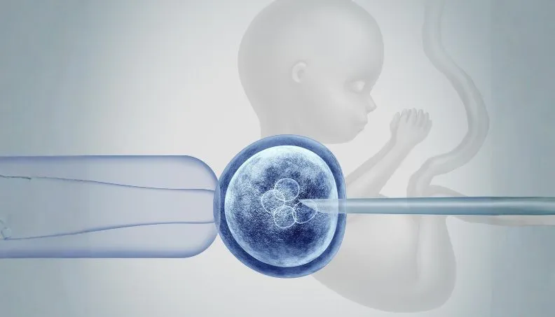 Donor Egg IVF_ The Questions Every Patient Has But Is Afraid to Ask
