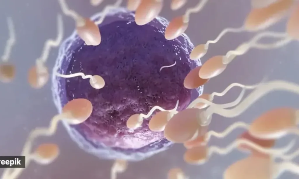 Eight IVF failures, then a miracle_ Why IVF setbacks do not mean the end of parenthood
