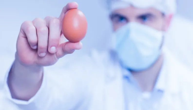 Repeated IVF Failures_ Your Egg Quality May Be the Problem