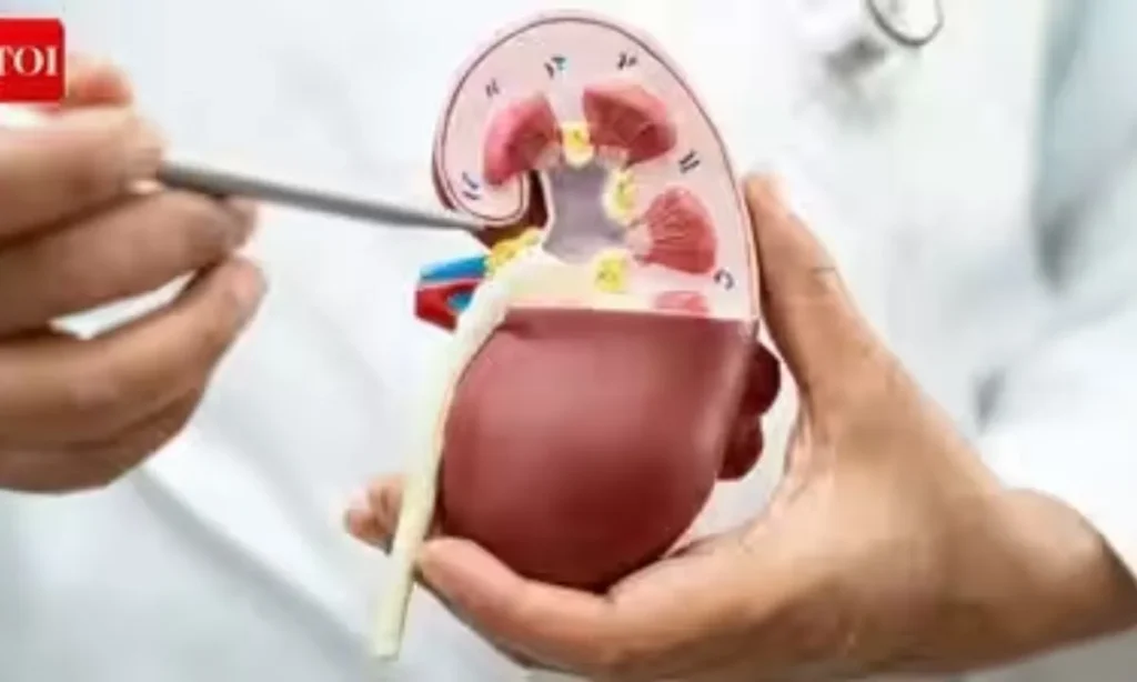 Pregnancy found growing near kidneys in rare medical case